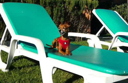 Casa da Bonança Ofir - Foto 4