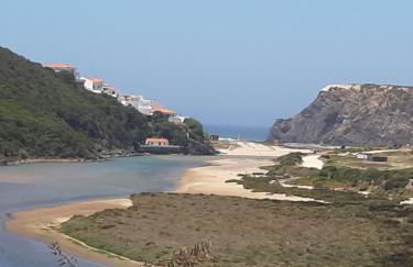 Gecko Pego Longo - Foto 27