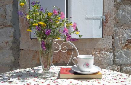 D HOUSE authentic Zlarin house, relaxing courtyard and terrace - Photo 18