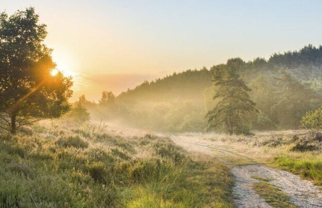 Modern Chalet With air Conditioning - Foto 52