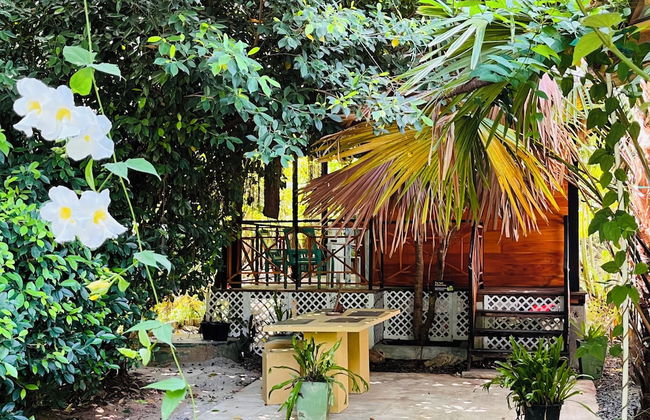 Green Villa & Soul Villa & Soul Cabana - Photo 27