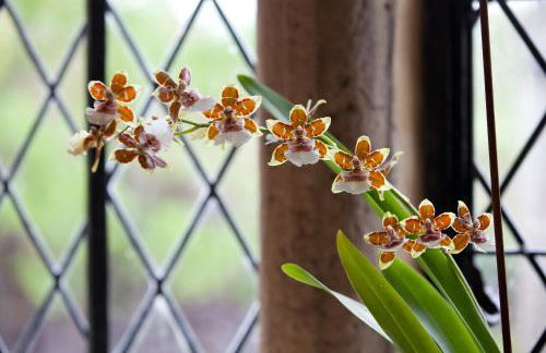 Welsh Gatehouse, Historic Castle which can cater for Electric Vehicle - Foto 18