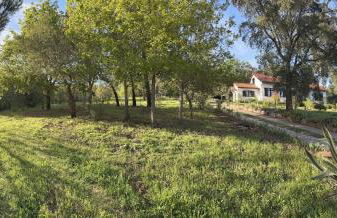 Quinta Do Pereiro - Foto 27