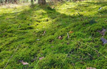 Apartamenty Promyk Wisełka - Foto 80