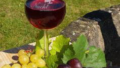 FeWo Gretel - Foto 2