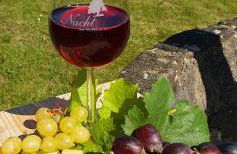 FeWo Gretel - Foto 2