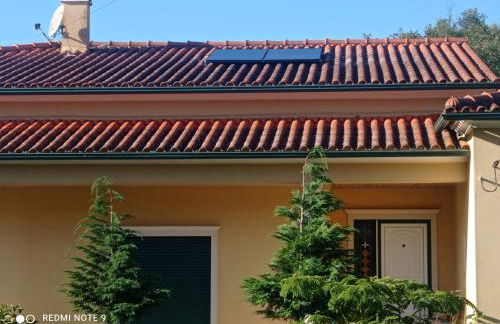 Casa da Floresta - Foto 29