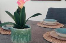Hipoclub Delux villa Faro Park 189 - Foto 19