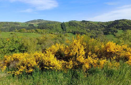 Sur les Rives du Haut Allier - Foto 38