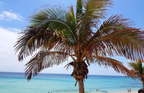 Your Ocean Suite - Foto 58