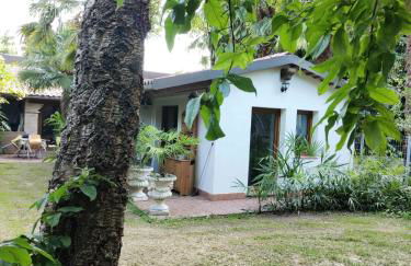 VillaLuigia - Oasi le Palme - Photo 8