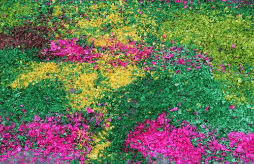 Casa do Mar - Foto 29