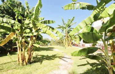 LECÉLESTE - Foto 17