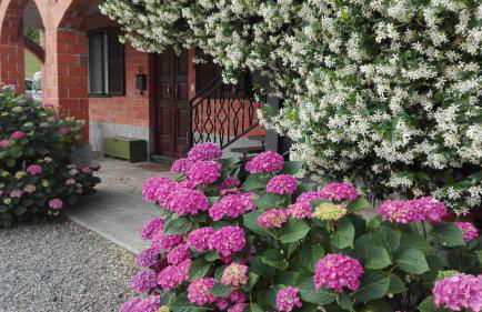 Casa Statiella - Foto 4