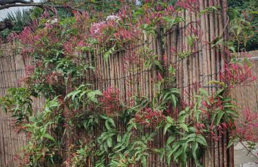 Casa el Porte - Photo 37