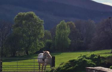 Brecon Beacons Lovely cottage with stunning views - Photo 9
