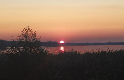 Butterfeld - Foto 30