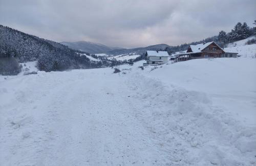 Apartamenty TRIO - Foto 3