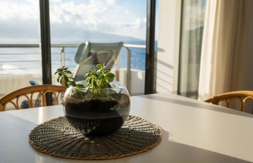 Mar Grande Apartment - Photo 13