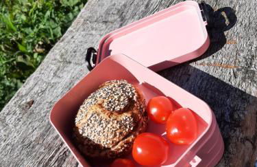 Ferienwohnung Zeitlos, gigantischer Seeblick, WLAN, gerne mit Hund - Foto 35