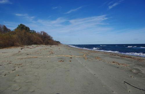 Résidence A NUCIOLA Les pieds dans l'eau Cervione Hte CORSE - Foto 16