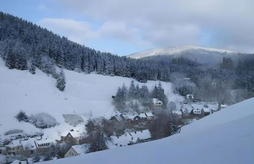 Ferienwohnung in Wildemann - Foto 14