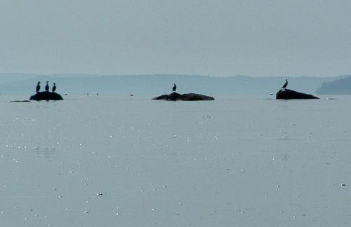 Beautiful Beach Cottage Rental for Family Getaway to Belfast, Maine - Foto 20