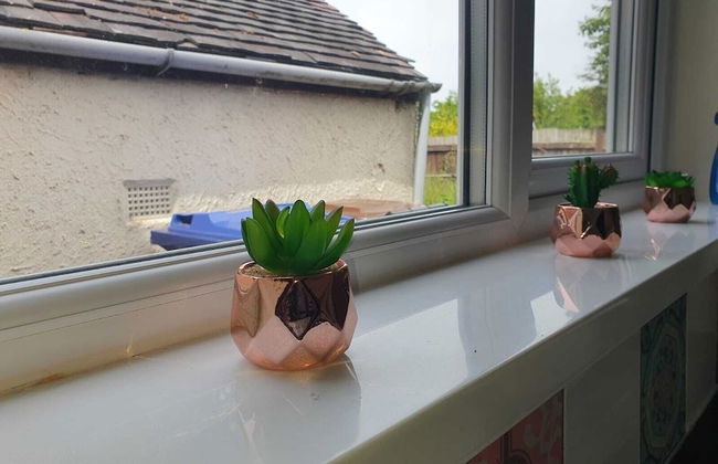 Comfortable Homestay in Stoke - Photo 36