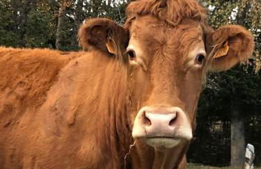 L'étoile des neiges Studio confort pour 4 personnes - Foto 18