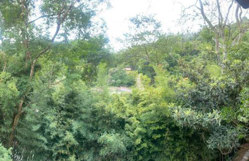 Condado Verde Itaipava Pedro do Rio - Foto 49