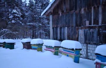 Agroturystyka Stara Huta - Foto 7