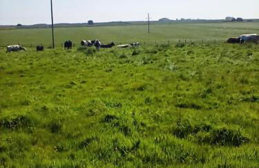 Buckton House Holiday Cottages - Foto 41