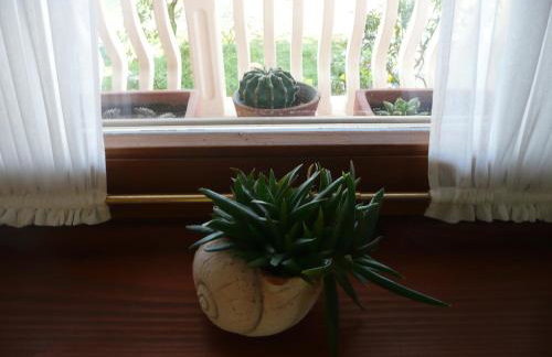 Villa Niceta - Foto 33