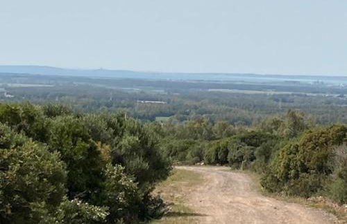 Vivi Natura - Foto 32