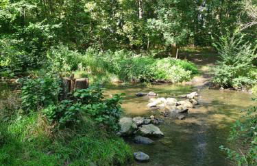 Fe Wo Nele - Foto 21