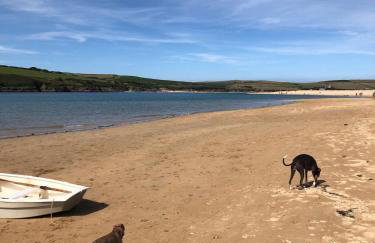Wren Cottage at Trenale Court Cottages - Foto 17