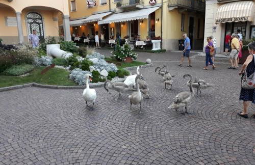 Casa Betty Lake View - Baveno - Foto 40