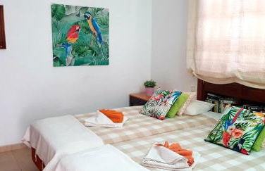 Carlos Park 51 - Photo 32