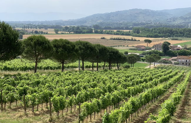 Casale Villa Chiara - Foto 35