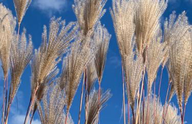 Majellon Grand Appartement - Photo 19