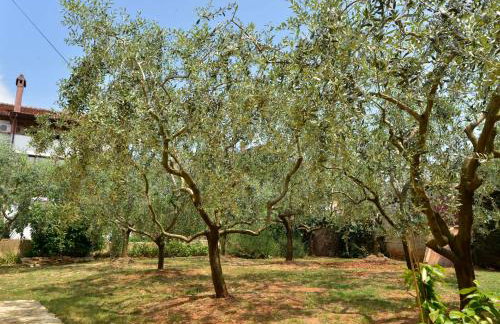 Villa Maredi with pool - Foto 15