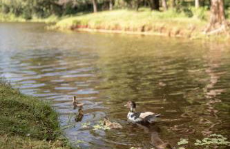 TEKOÁ - Cabana Pitanga - Barreiro, Araxá - Foto 35
