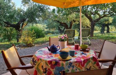 Ktirakia Studios - Foto 38