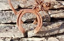 Gite les carriaux - Foto 36