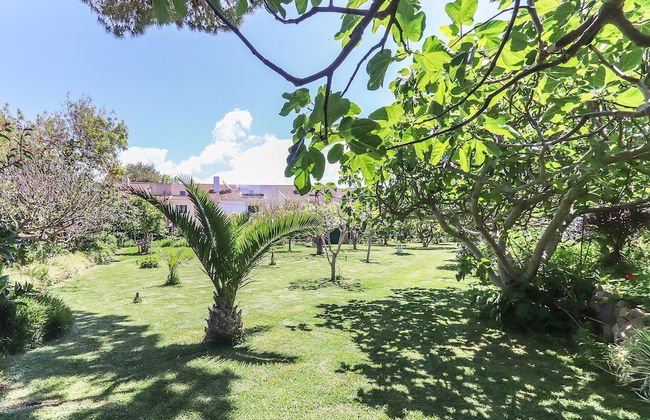 Guincho Typical House II by Homing - Photo 37