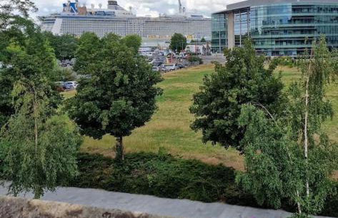 The Blue house on the wall - Foto 24