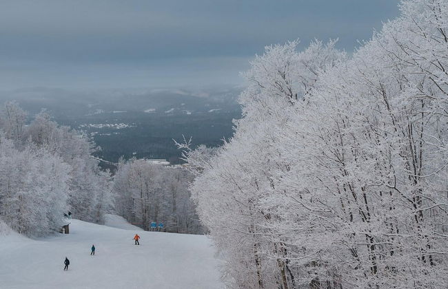 Relaxing Location Steps From Resort Citq 242281 - Foto 48