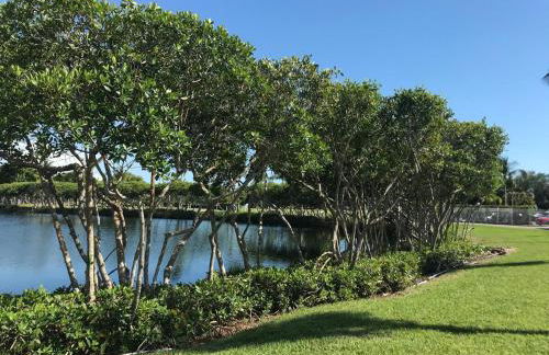 Beachfront Lovers Key - Photo 31