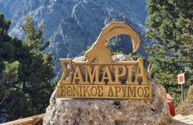 Gardenia Sun & Pool - Foto 43