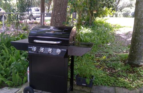 Lakefront with Dock on Private Lake Florence near Montverde Academy - Photo 26